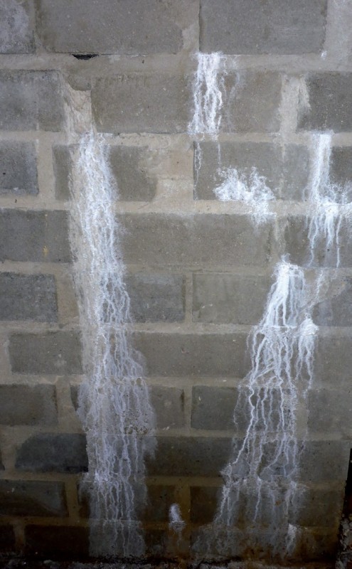 Korozja ługująca zaprawy murarskiej.